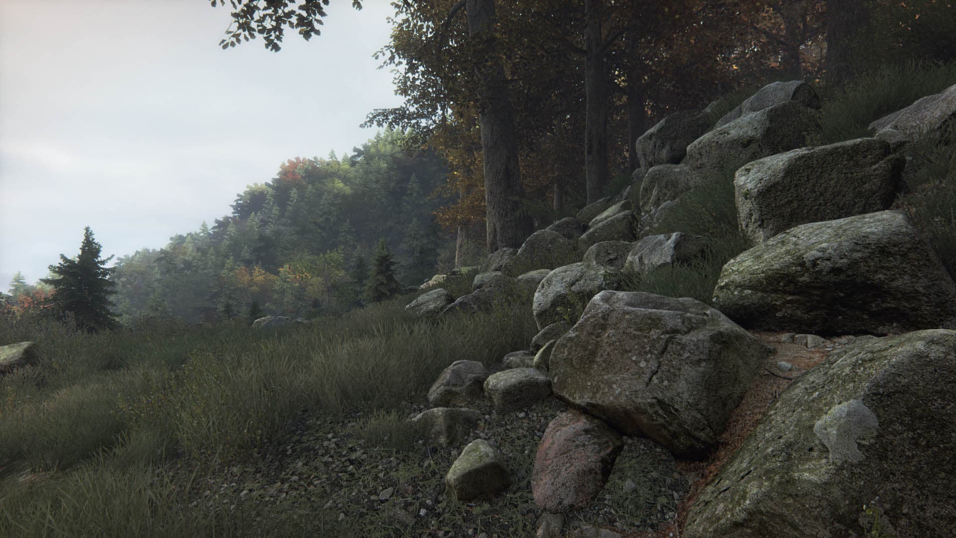 The Vanishing of Ethan Carter screenshot 4