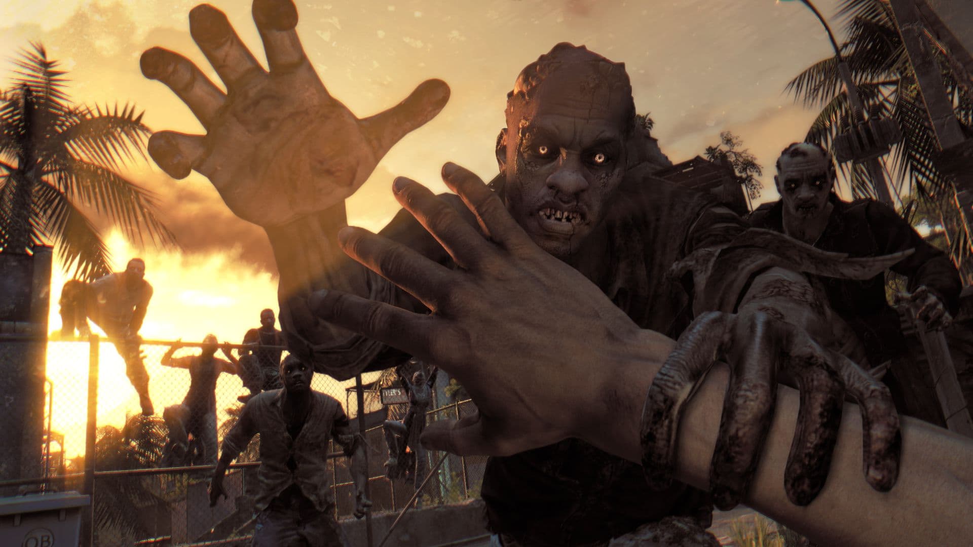 Dying Light: The Following - Enhanced Edition screenshot 4